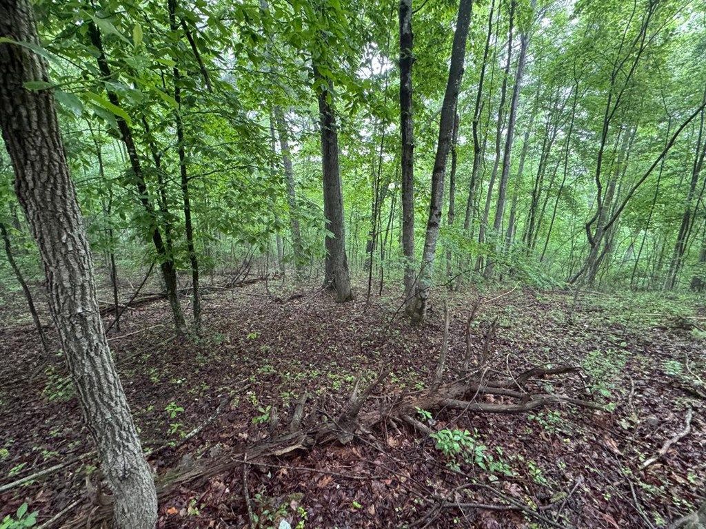 Photo of TBD Fancy Gap Hwy #N/A, Hillsville, VA 24343 (MLS # 110267)