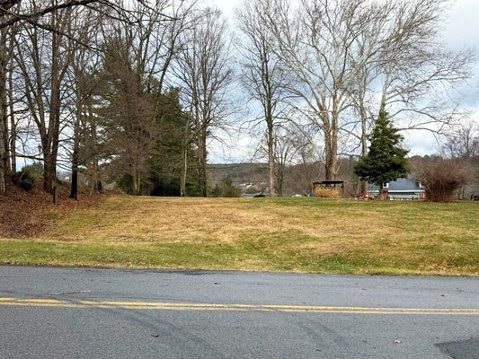 MARION MANOR DR, MARION, VA 24354 - Image 3a741fcd93da5b27c8d76ae361237170/836588030