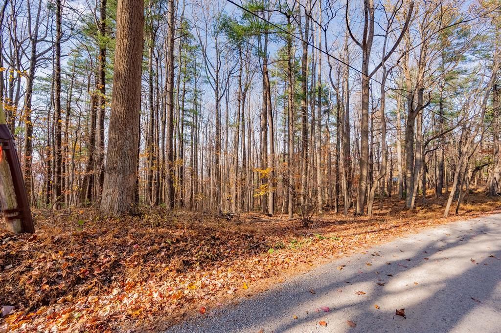 Photo of 0 Autumn Dr NE #3-33, Copper Hill, VA 24079 (MLS # 104072)