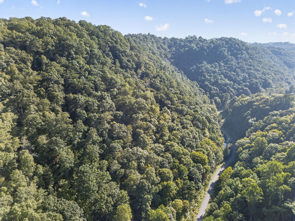 Photo of TBD Livingston Cr Rd #0, Bristol, VA 24202 (MLS # 111822)