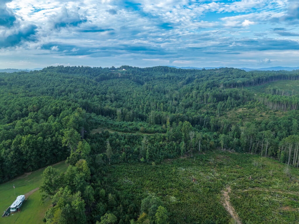Photo of TBD Marian Road #N/A, Laurel Fork, VA 24352 (MLS # 111895)