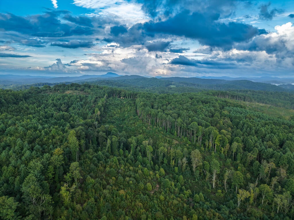 Photo of TBD Marian Road #N/A, Laurel Fork, VA 24352 (MLS # 111895)
