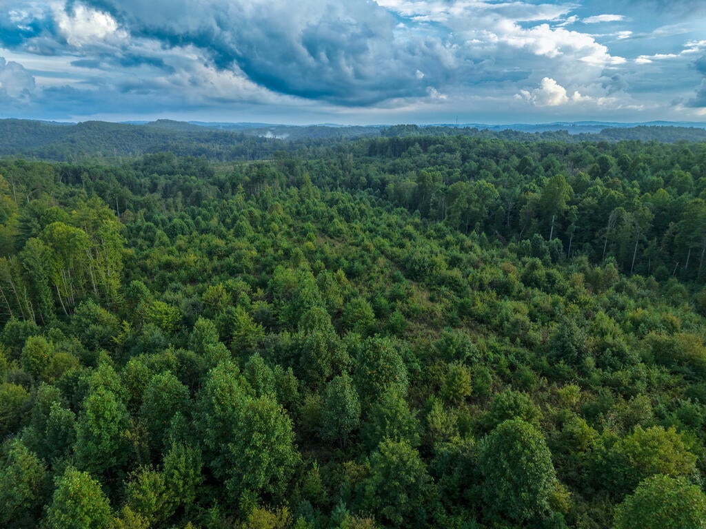 Photo of TBD Marian Road #N/A, Laurel Fork, VA 24352 (MLS # 111895)