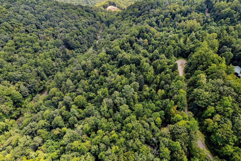 Photo of TBD Lot 6 Old Mill Court #6, Fancy Gap, VA 24328 (MLS # 109477)