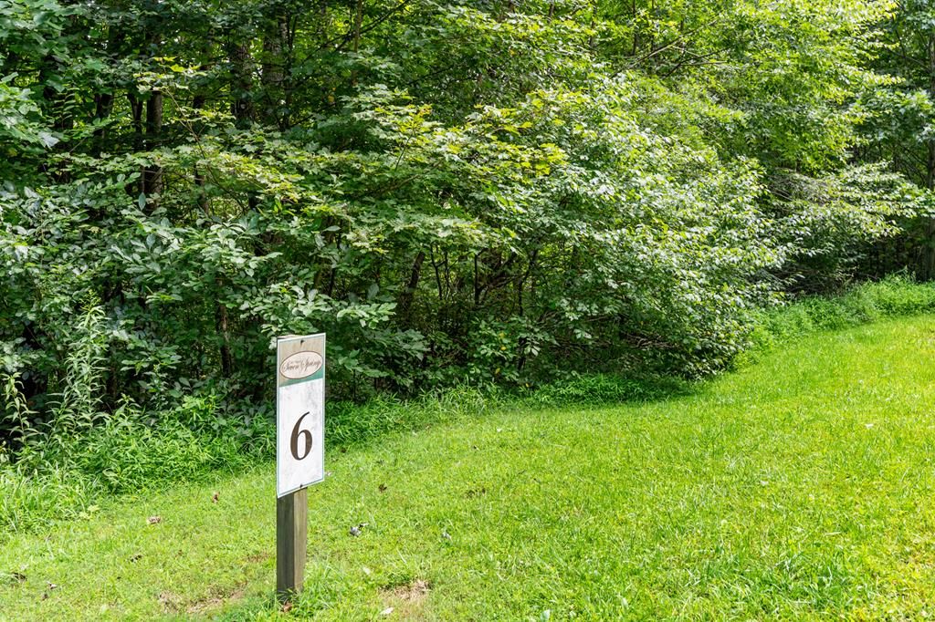 Photo of TBD Lot 6 Old Mill Court #6, Fancy Gap, VA 24328 (MLS # 109477)