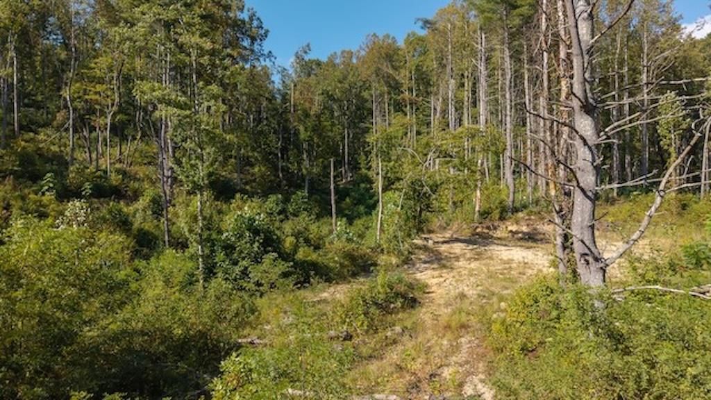 Photo of 1 Twin Falls Rd, Copper Hill, VA 24079 (MLS # 103492)