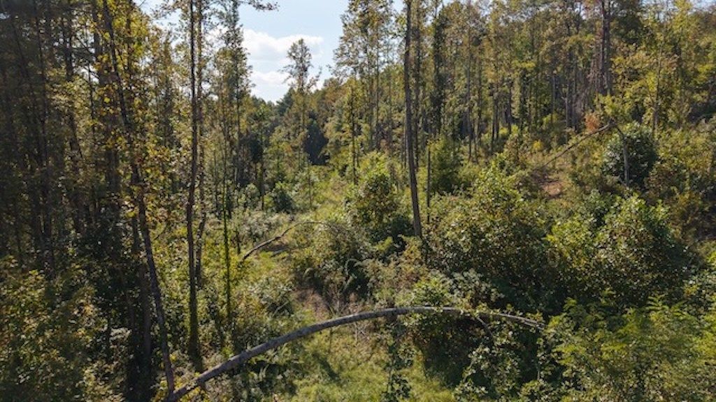 Photo of 1 Twin Falls Rd, Copper Hill, VA 24079 (MLS # 103492)