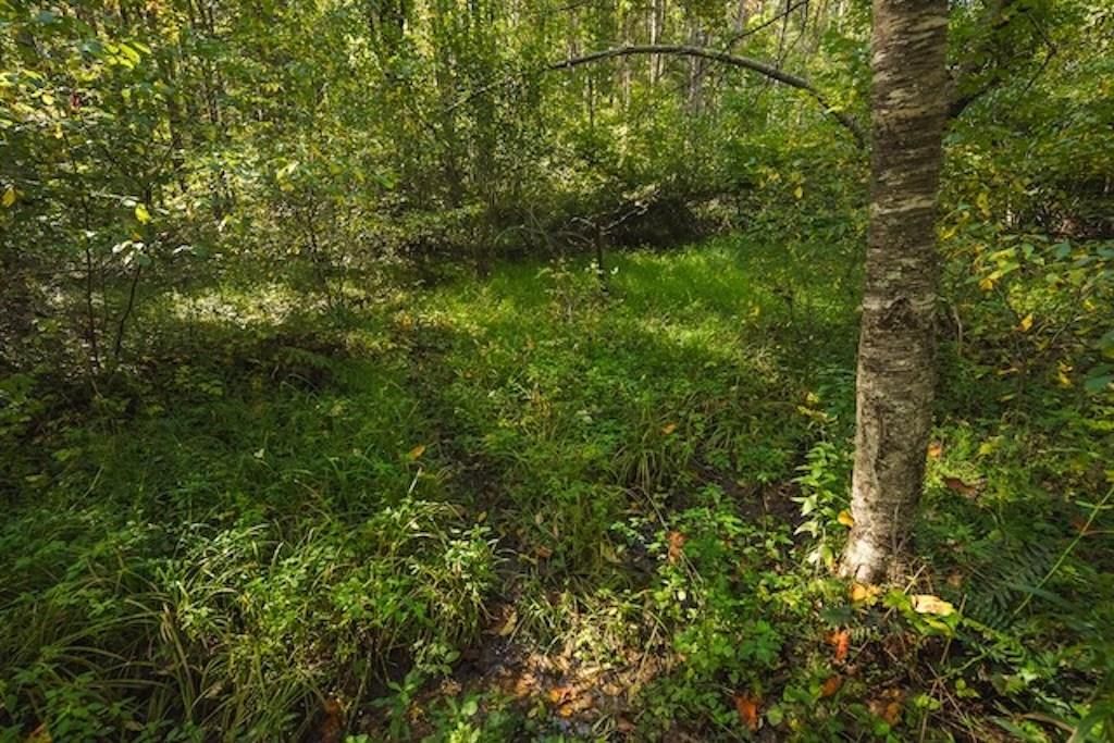 Photo of 1 Twin Falls Rd, Copper Hill, VA 24079 (MLS # 103492)