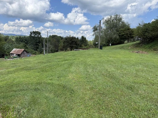2814 LIME KILN RD # 1, FRIES, VA 24330 - Image 3d565b997a567a8cebc1b0fe0bfaa3a2/1531212127