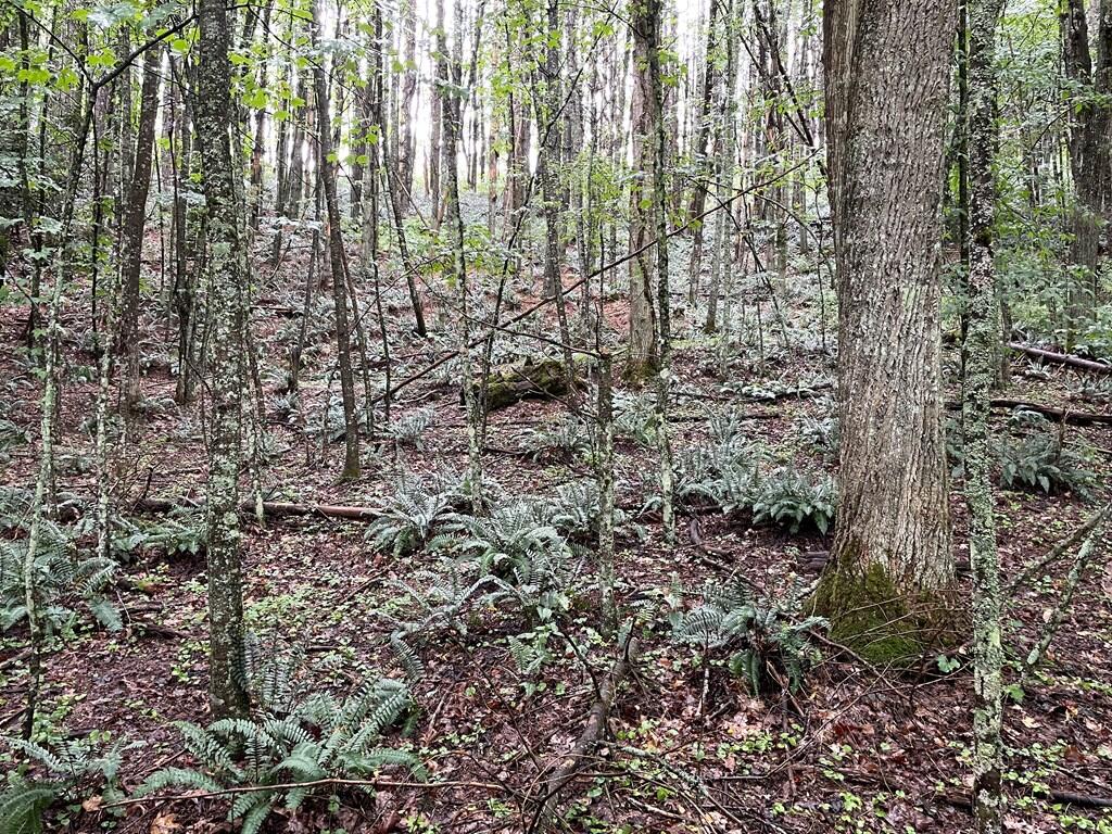 Photo of 6486 Danville Pike #1, Hillsville, VA 24343 (MLS # 112146)
