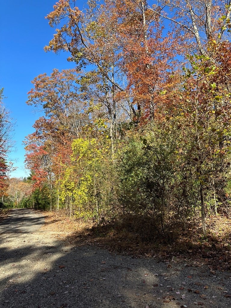 Photo of 555 Evergreen Trail #13, Fancy Gap, VA 24328 (MLS # 110742)