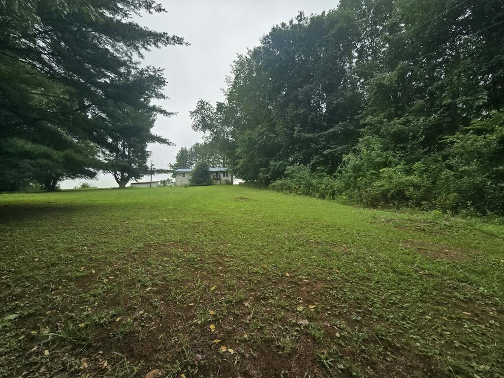 Photo of 469 Huddle Rd, Ivanhoe, VA 24350 (MLS # 112103)