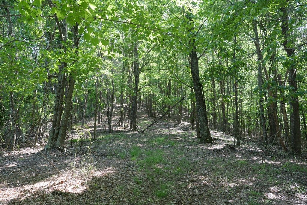 Photo of TBD Bedsaul Road #1, Galax, VA 24333 (MLS # 100117)