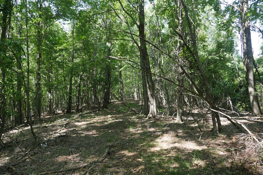 Photo of TBD Bedsaul Road #1, Galax, VA 24333 (MLS # 100117)