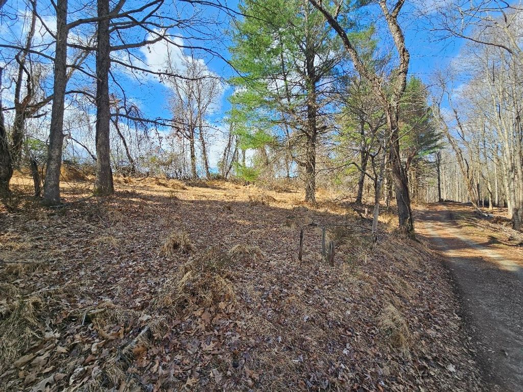 Photo of TBD Fries Rd #0, Galax, VA 24333 (MLS # 109279)