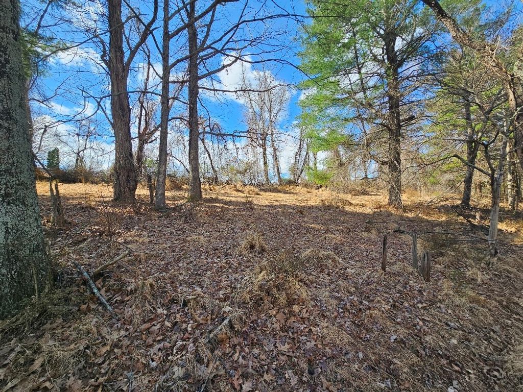Photo of TBD Fries Rd #0, Galax, VA 24333 (MLS # 109279)