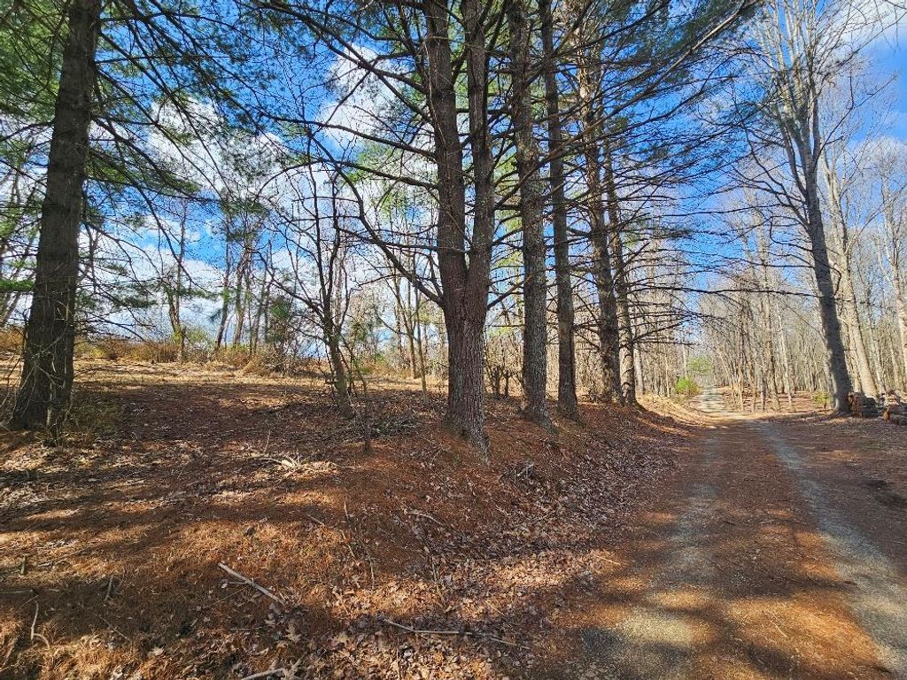 Photo of TBD Fries Rd #0, Galax, VA 24333 (MLS # 109279)