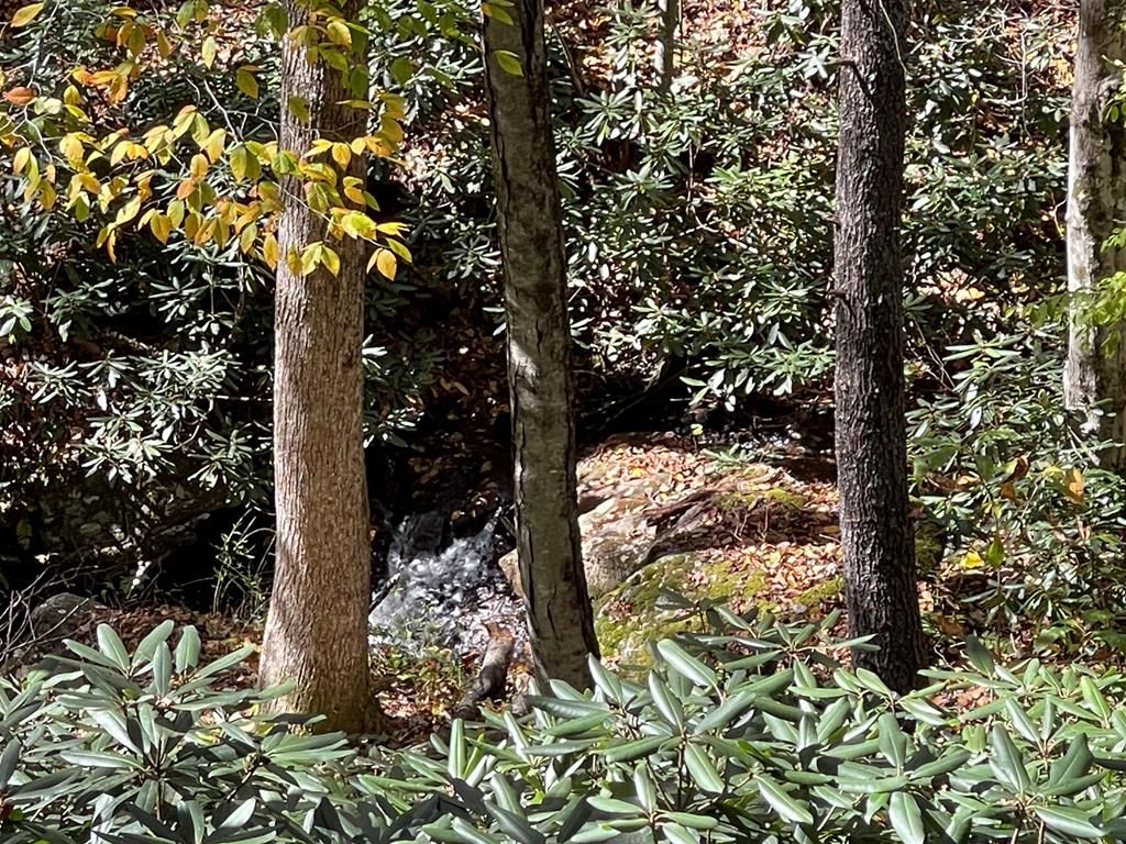 Photo of 219 Otter Creek Trl, Fancy Gap, VA 24328 (MLS # 103864)
