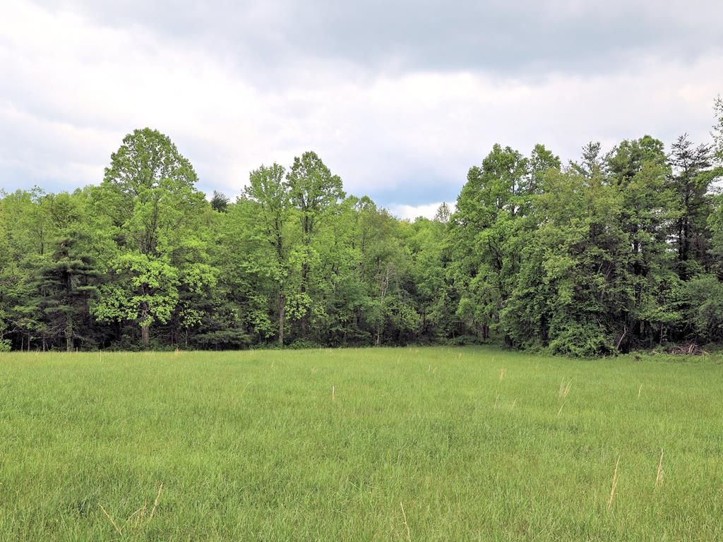 Photo of TBD SE Franklin Pike #4, Floyd, VA 24091 (MLS # 100493)