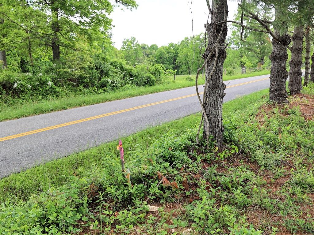 Photo of TBD SE Franklin Pike #4, Floyd, VA 24091 (MLS # 100493)