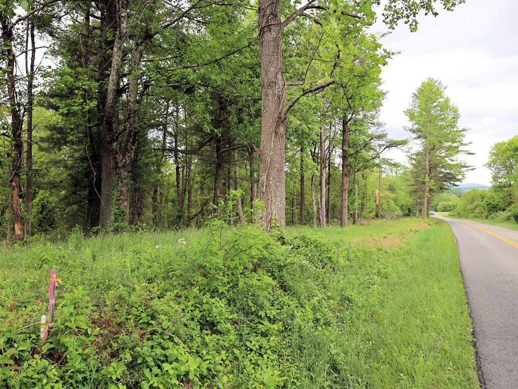 Photo of TBD SE Franklin Pike #4, Floyd, VA 24091 (MLS # 100493)
