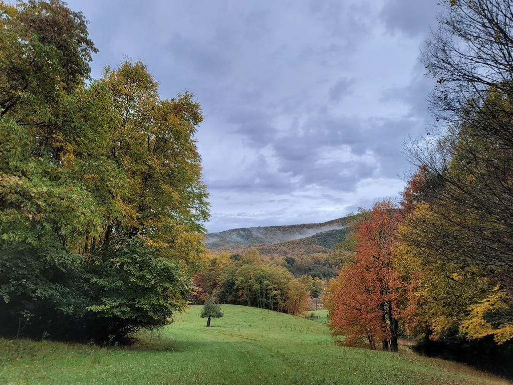 Photo of 0 Old slash Rd #50, Troutdale, VA 24378 (MLS # 105857)