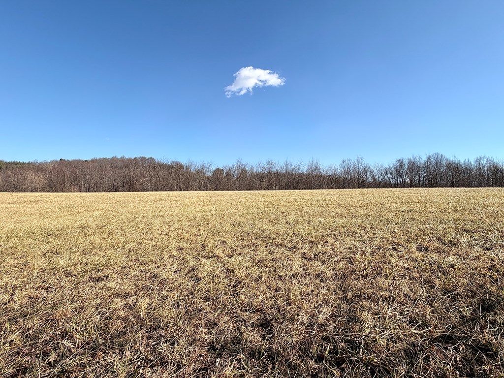 Photo of TBD Bear Trail Road c #7, Cana, VA 24317 (MLS # 104516)