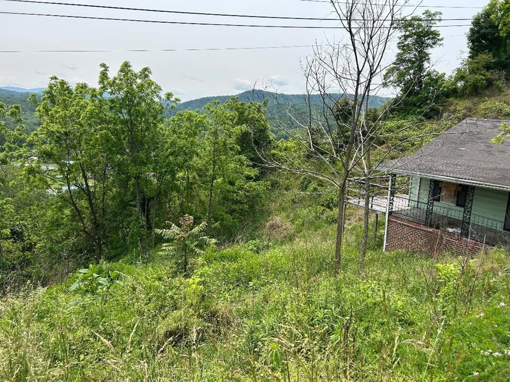 Photo of 231 Scenic Rd #0, Raven, VA 24639 (MLS # 109860)