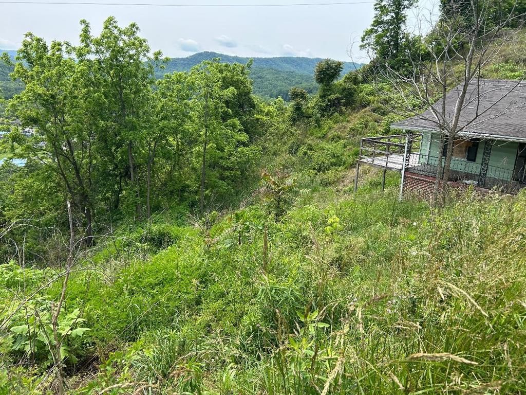 Photo of 231 Scenic Rd #0, Raven, VA 24639 (MLS # 109860)