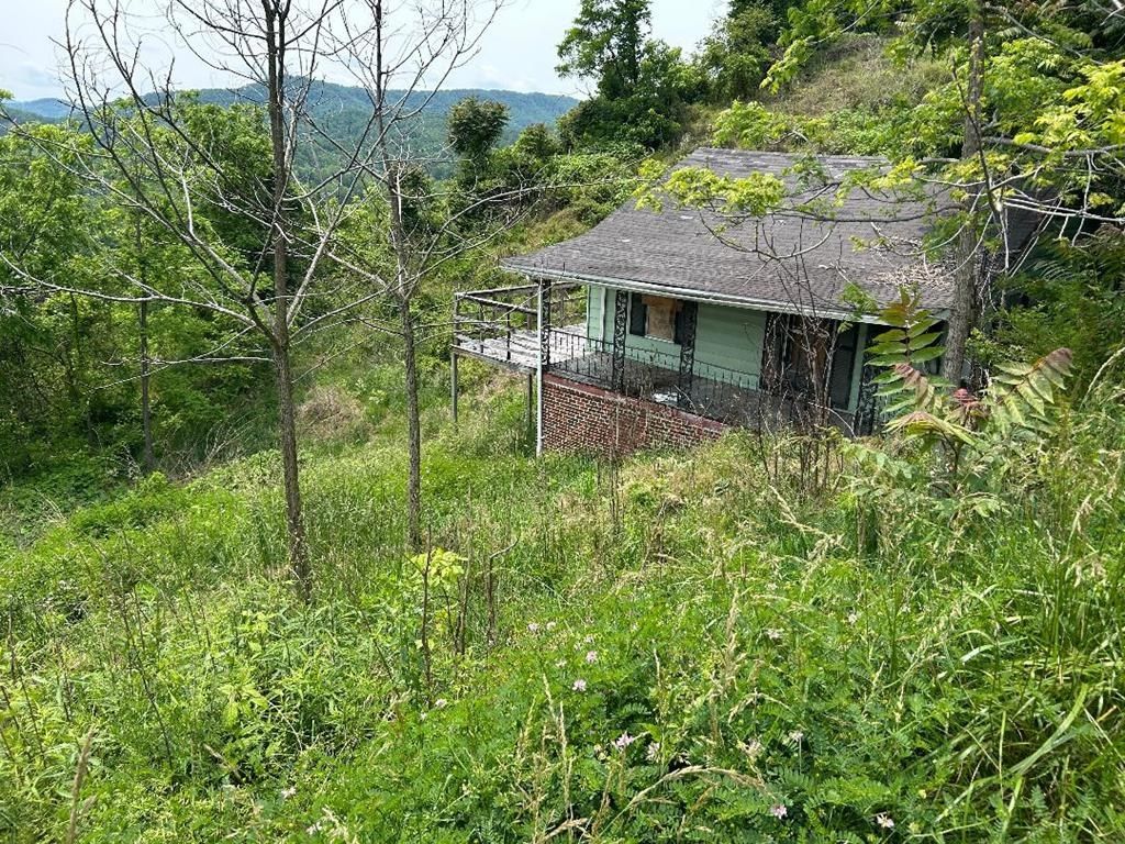 Photo of 231 Scenic Rd #0, Raven, VA 24639 (MLS # 109860)