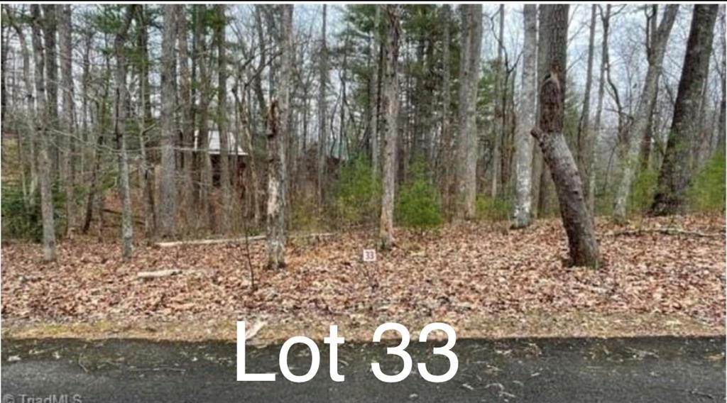 Photo of 33 Woods Haven Lane #33, Stuart, VA 24171 (MLS # 109061)