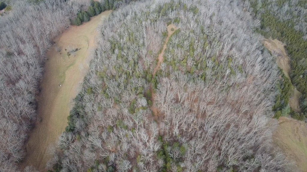 Photo of TBD Hickory Drive #4, Pounding Mill, VA 24637 (MLS # 104214)