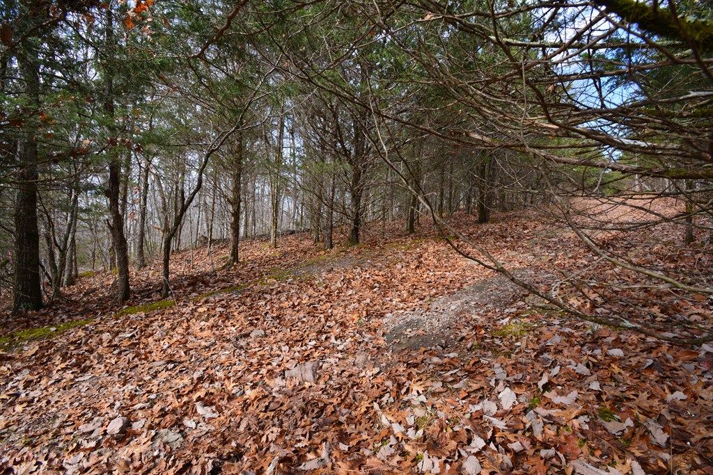 Photo of TBD Hickory Drive #4, Pounding Mill, VA 24637 (MLS # 104214)