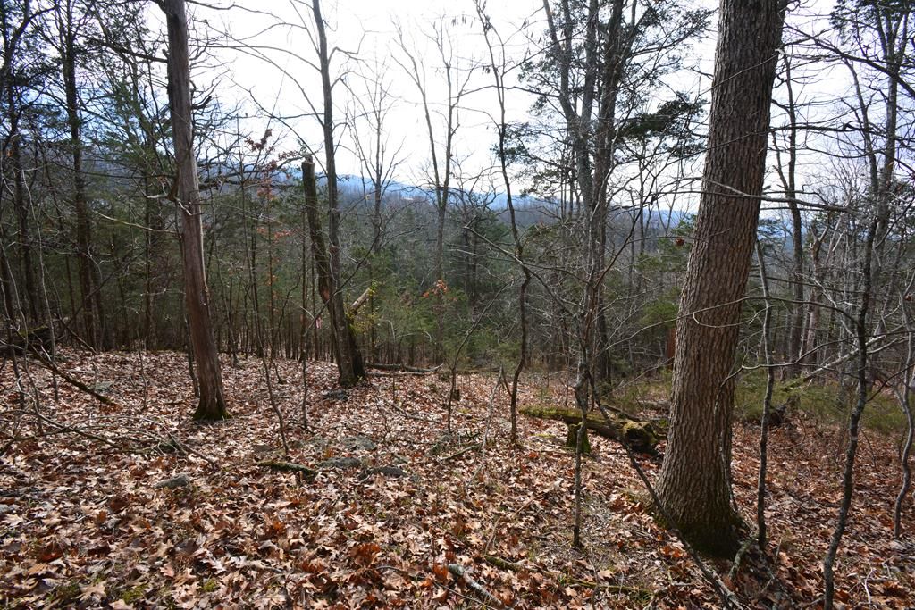 Photo of TBD Hickory Drive #4, Pounding Mill, VA 24637 (MLS # 104214)