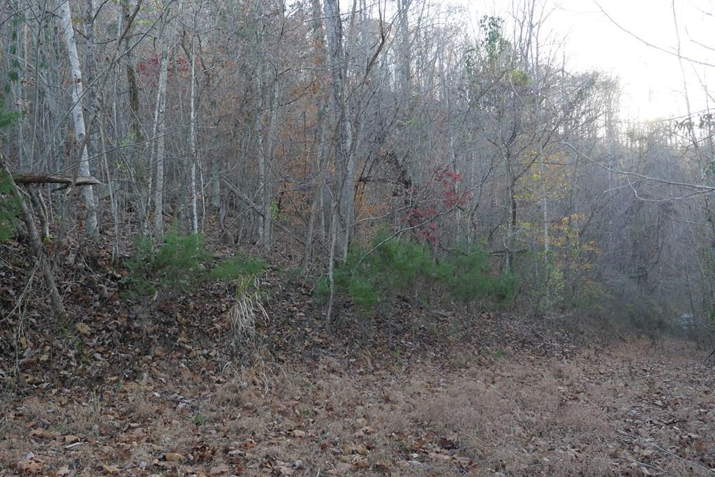 Photo of TBD Bristol Highway #0, Bristol, VA 24202 (MLS # 104296)