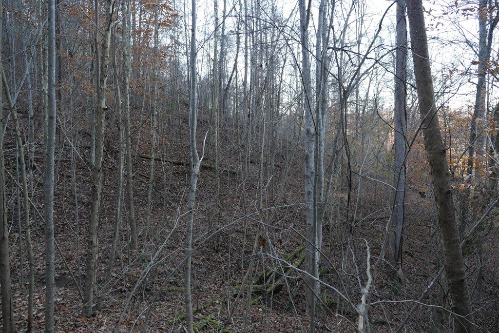 Photo of TBD Bristol Highway #0, Bristol, VA 24202 (MLS # 104296)