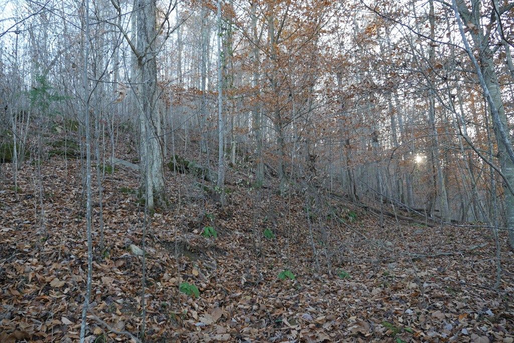 Photo of TBD Bristol Highway #0, Bristol, VA 24202 (MLS # 104296)