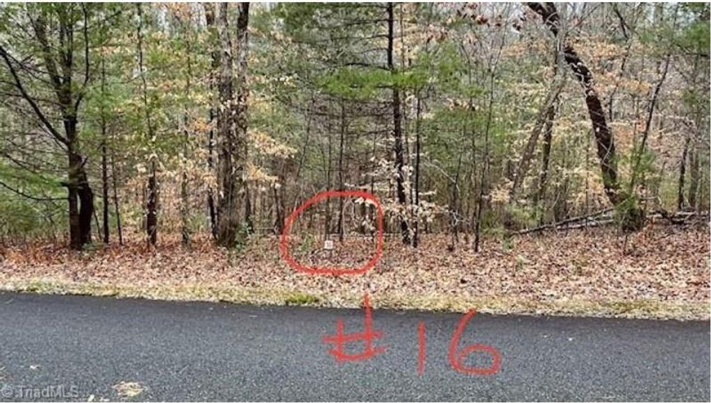 Photo of 16 Woods Haven Lane #16, Stuart, VA 24171 (MLS # 87245)