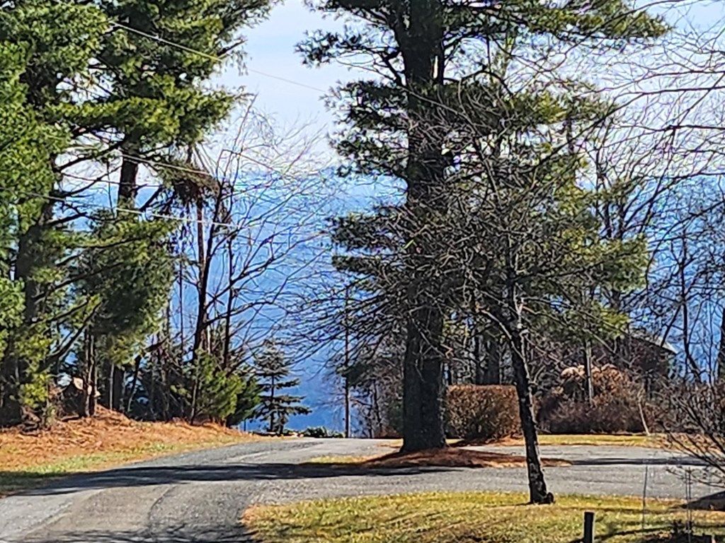 Photo of 101 Chateau Ln, Fancy Gap, VA 24328 (MLS # 104328)