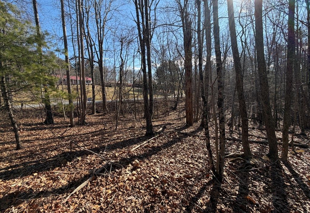 Photo of TBD Lynnhaven/Cavalier Dr #6 &amp; 9, Hillsville, VA 24343 (MLS # 104679)