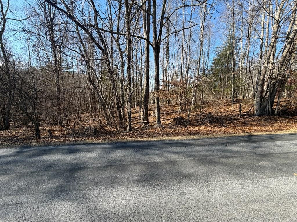 Photo of TBD Lynnhaven/Cavalier Dr #6 &amp; 9, Hillsville, VA 24343 (MLS # 104679)