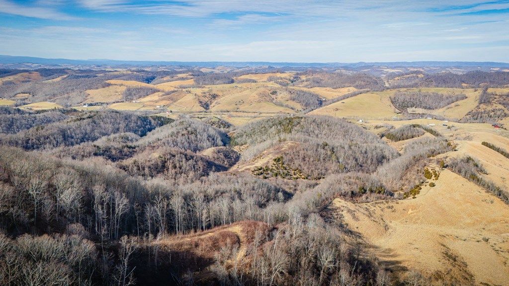 Photo of TBD Clinch Mountain Road #N/A, Lebanon, VA 24266 (MLS # 104530)