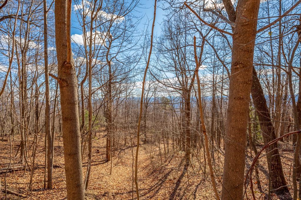 Photo of 119 Spring Pond Trl #119, Fancy Gap, VA 24328 (MLS # 110951)