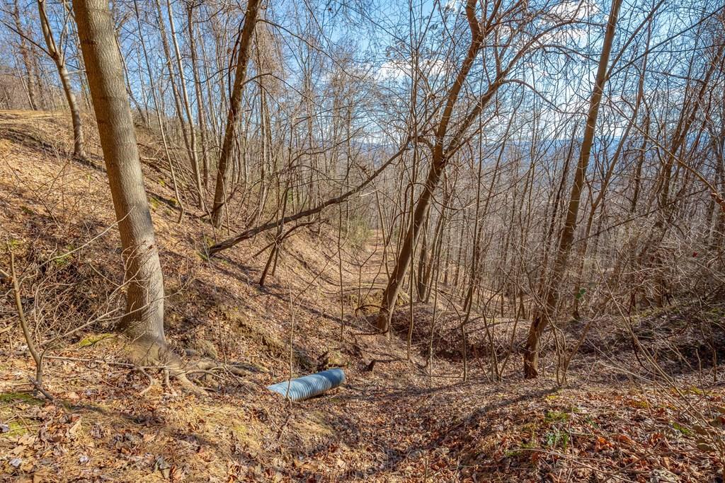 Photo of 119 Spring Pond Trl #119, Fancy Gap, VA 24328 (MLS # 110951)