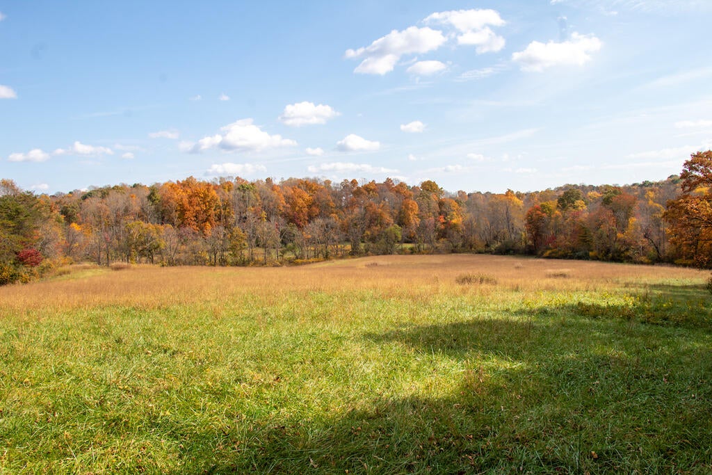 Photo of 00 Hardin Reynolds Rd #n/a, Critz, VA 24082 (MLS # 111799)
