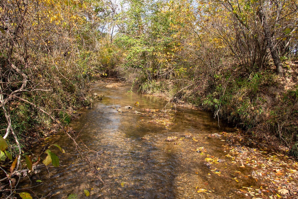 Photo of 00 Hardin Reynolds Rd #n/a, Critz, VA 24082 (MLS # 111799)