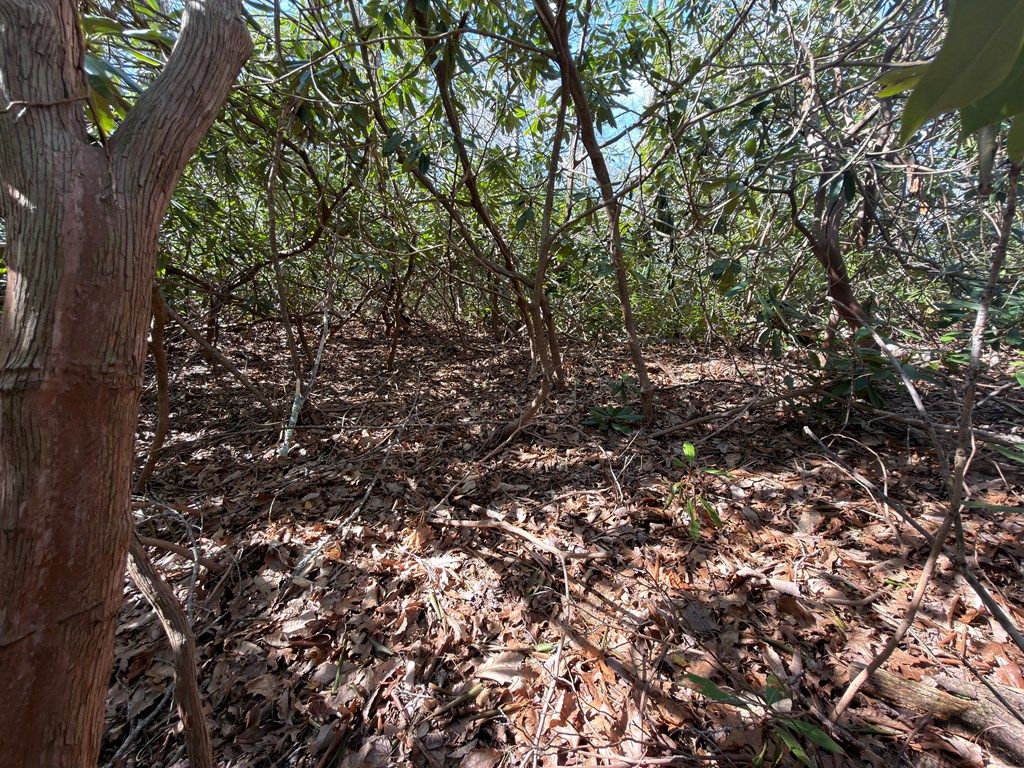 Photo of TBD Cascade Trail #F-34 ,FR-3, Fancy Gap, VA 24328 (MLS # 109686)