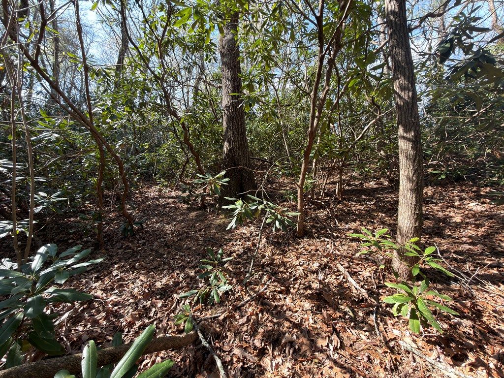 Photo of TBD Cascade Trail #F-34 ,FR-3, Fancy Gap, VA 24328 (MLS # 109686)