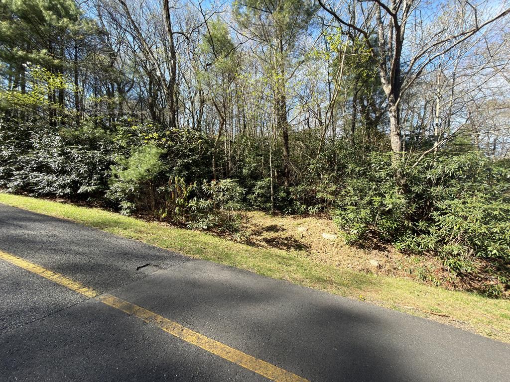 Photo of TBD Cascade Trail #F-34 ,FR-3, Fancy Gap, VA 24328 (MLS # 109686)