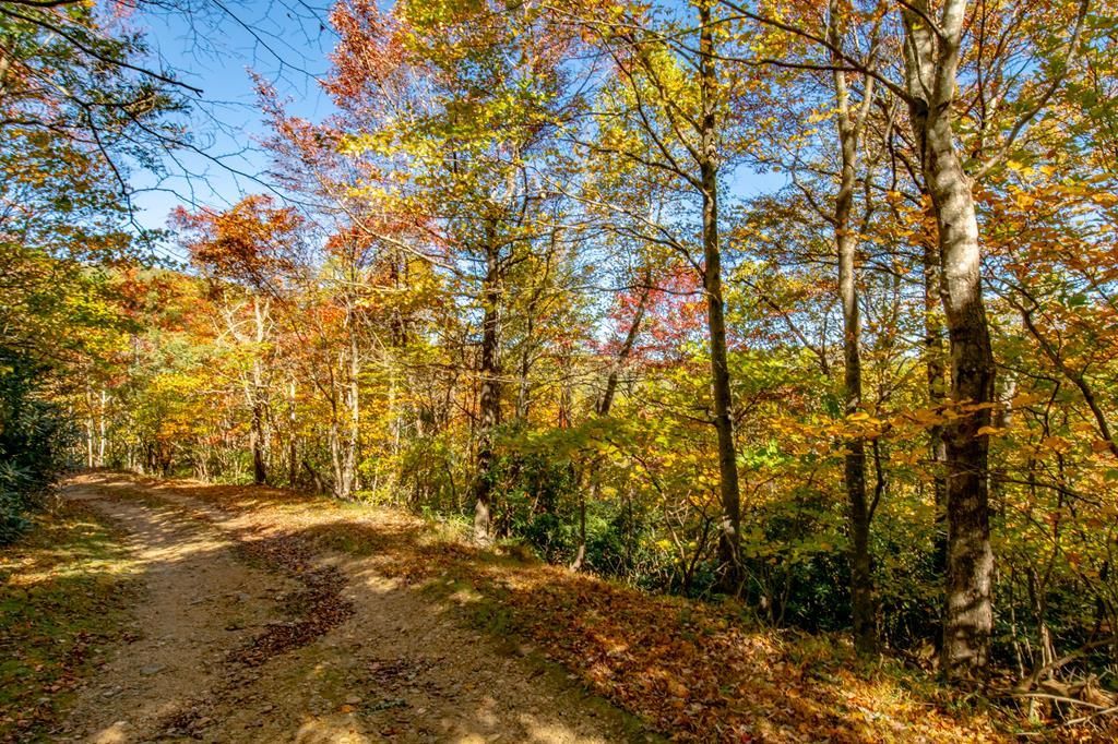 Photo of 6 Old Pond Trl #143, Fancy Gap, VA 24328 (MLS # 103838)